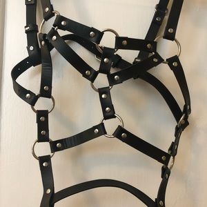 Harness Set. Top and Bottom.